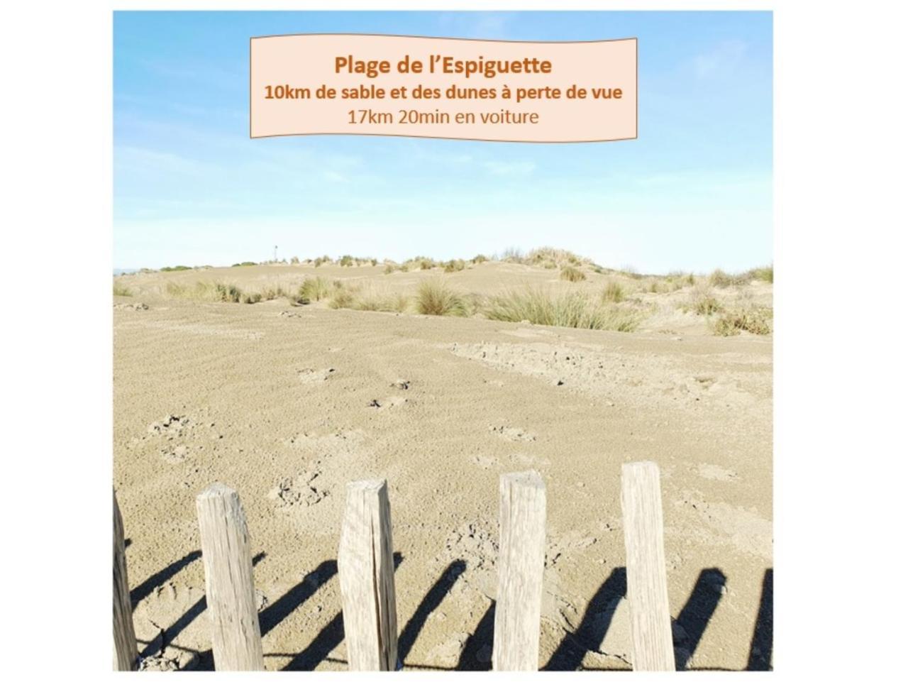 THALASSA STUDIO PLAGE 50 Mètres Commerce WIFI La Grande-Motte Esterno foto